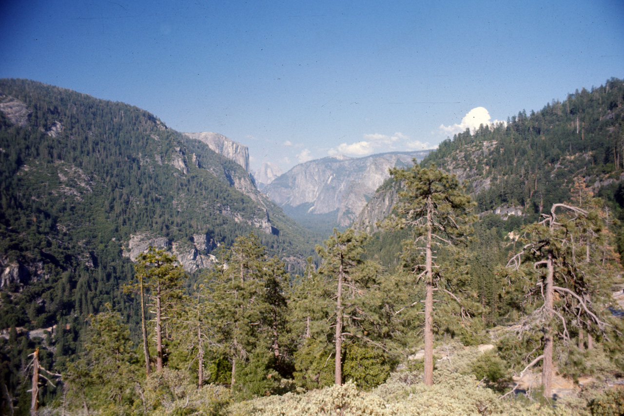 74-06-07, 28, Yosemite Nat Park, Calif