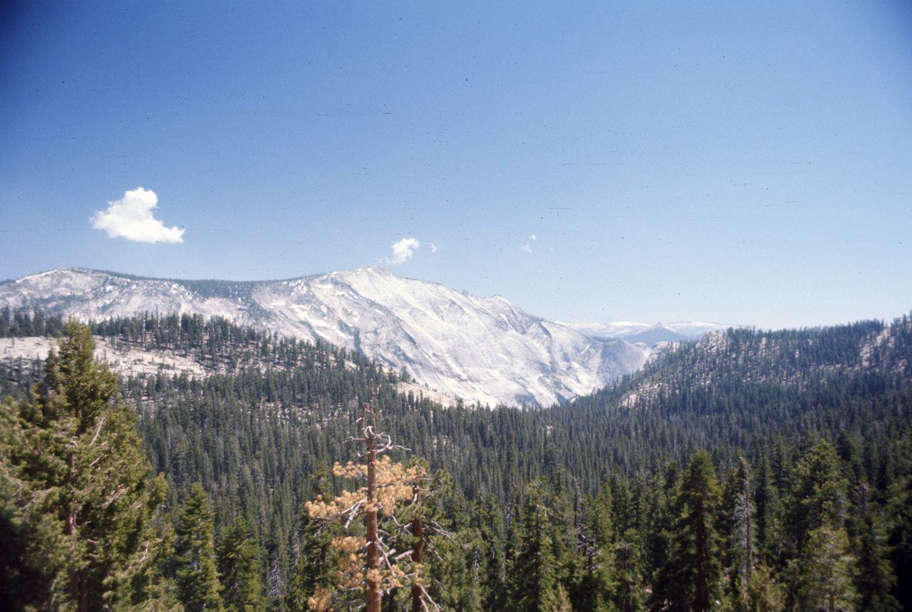 74-06-07, 38, Yosemite Nat Park, Calif