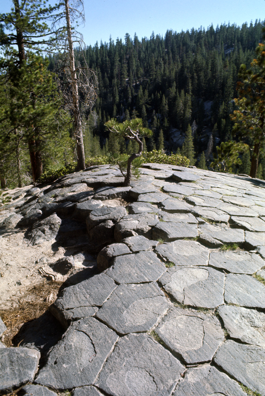 74-06-07, 53, Devils Postpile Nat Park, Calif