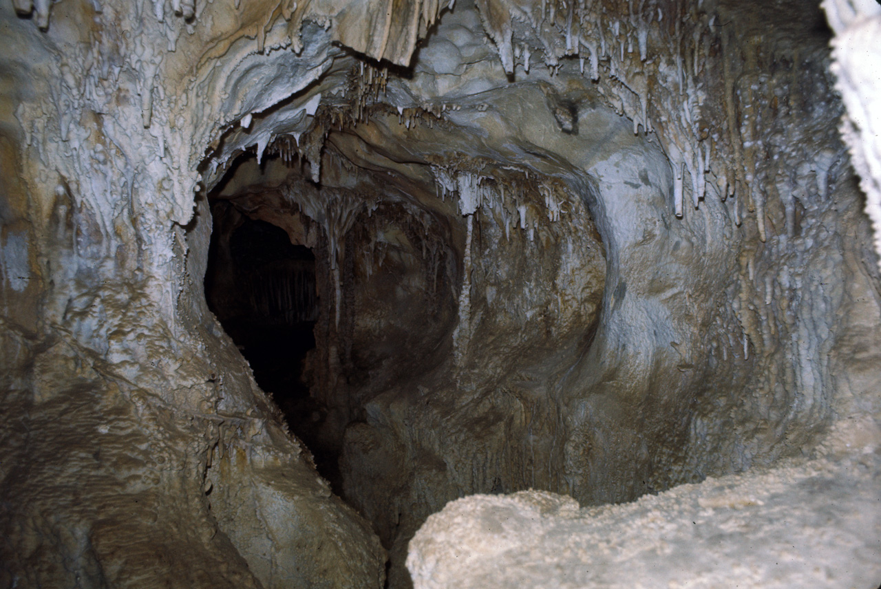 74-06-07, 72, Lehman Caves Nat Monument, Nevada