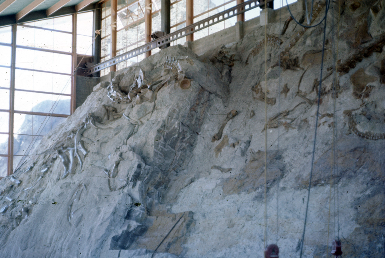 74-06-08, 03, Dinosaur Nat Monument, Utah