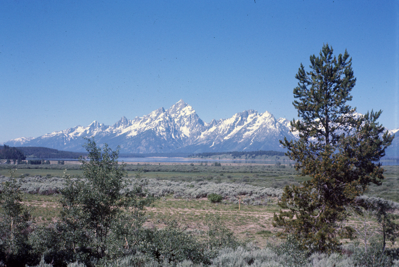 74-06-08, 40, Grand Teton Nat Park, Wyoming