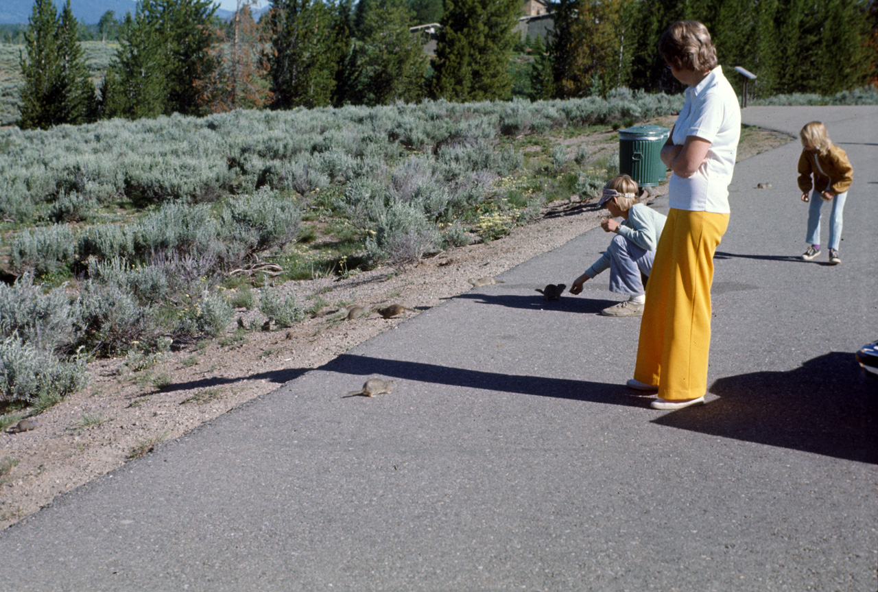 74-06-08, 42, Grand Teton Nat Park, Wyoming