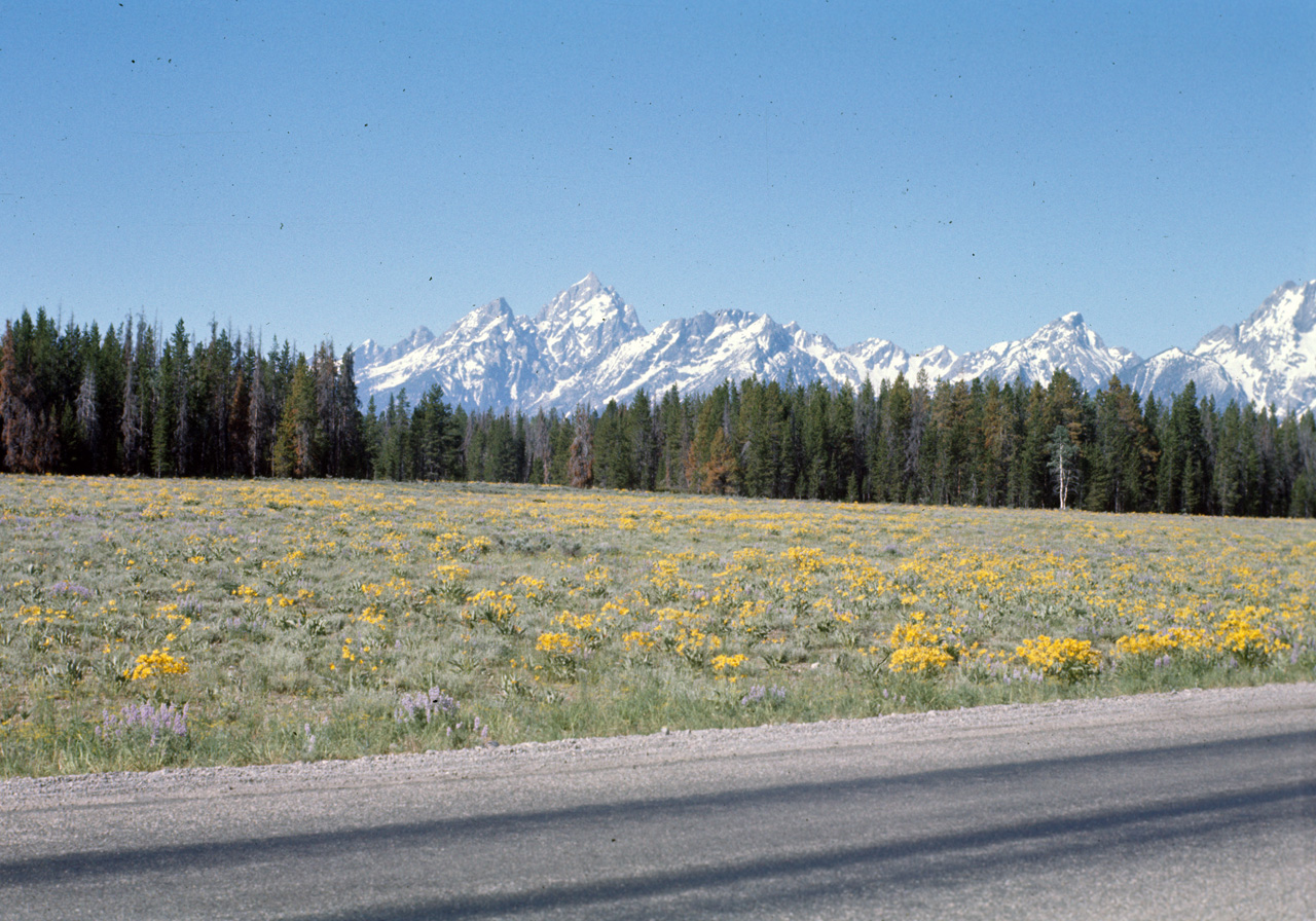 74-06-08, 43, Grand Teton Nat Park, Wyoming