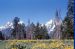 74-06-08, 36, Grand Teton Nat Park, Wyoming