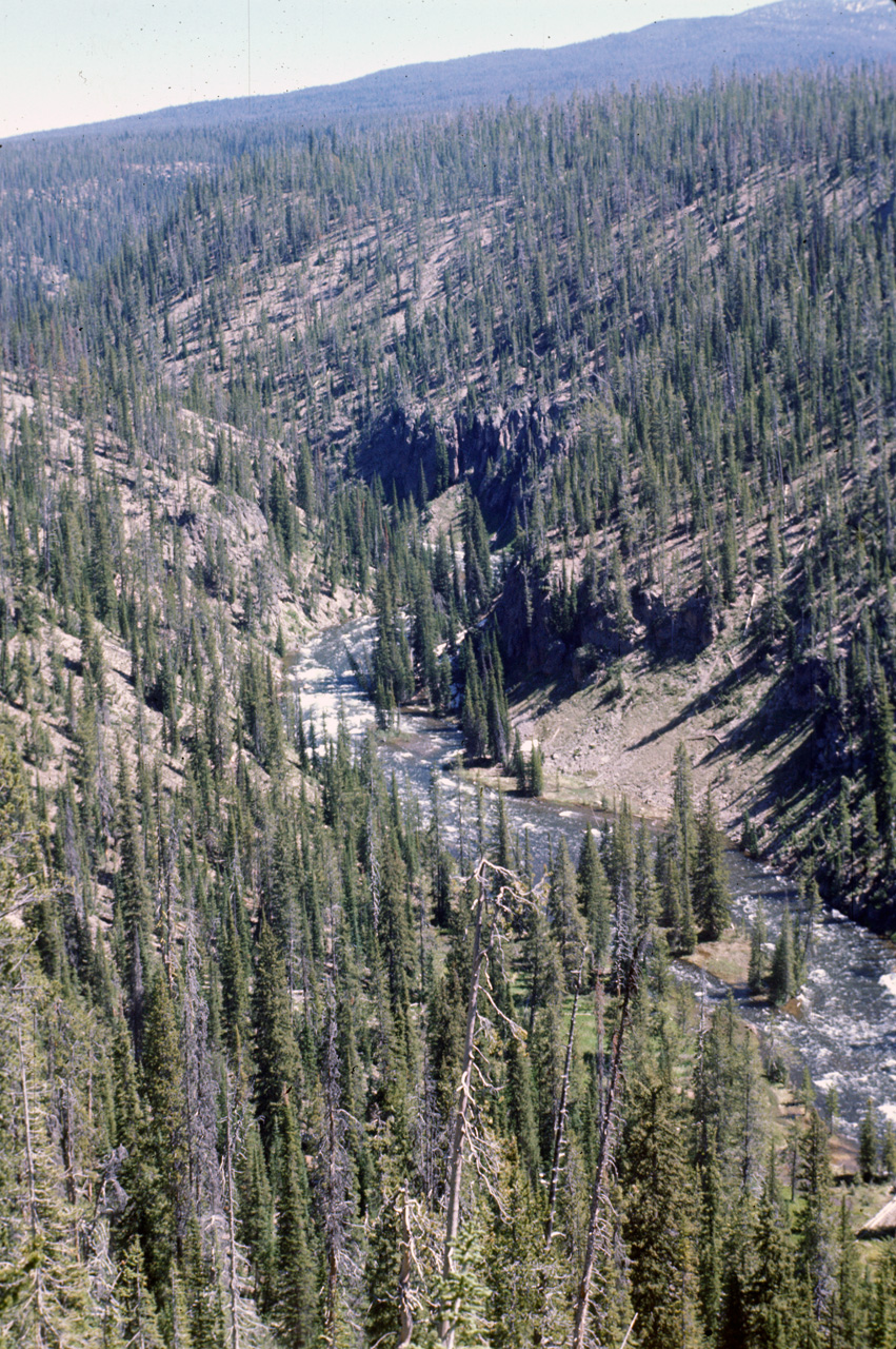 74-06-09, 003, Yellowstone Nat Park, Wyoming