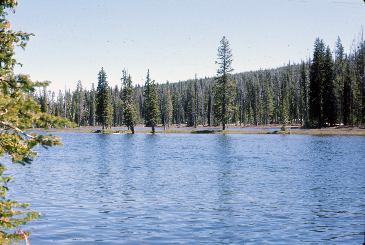 74-06-09, 006, Yellowstone Nat Park, Wyoming