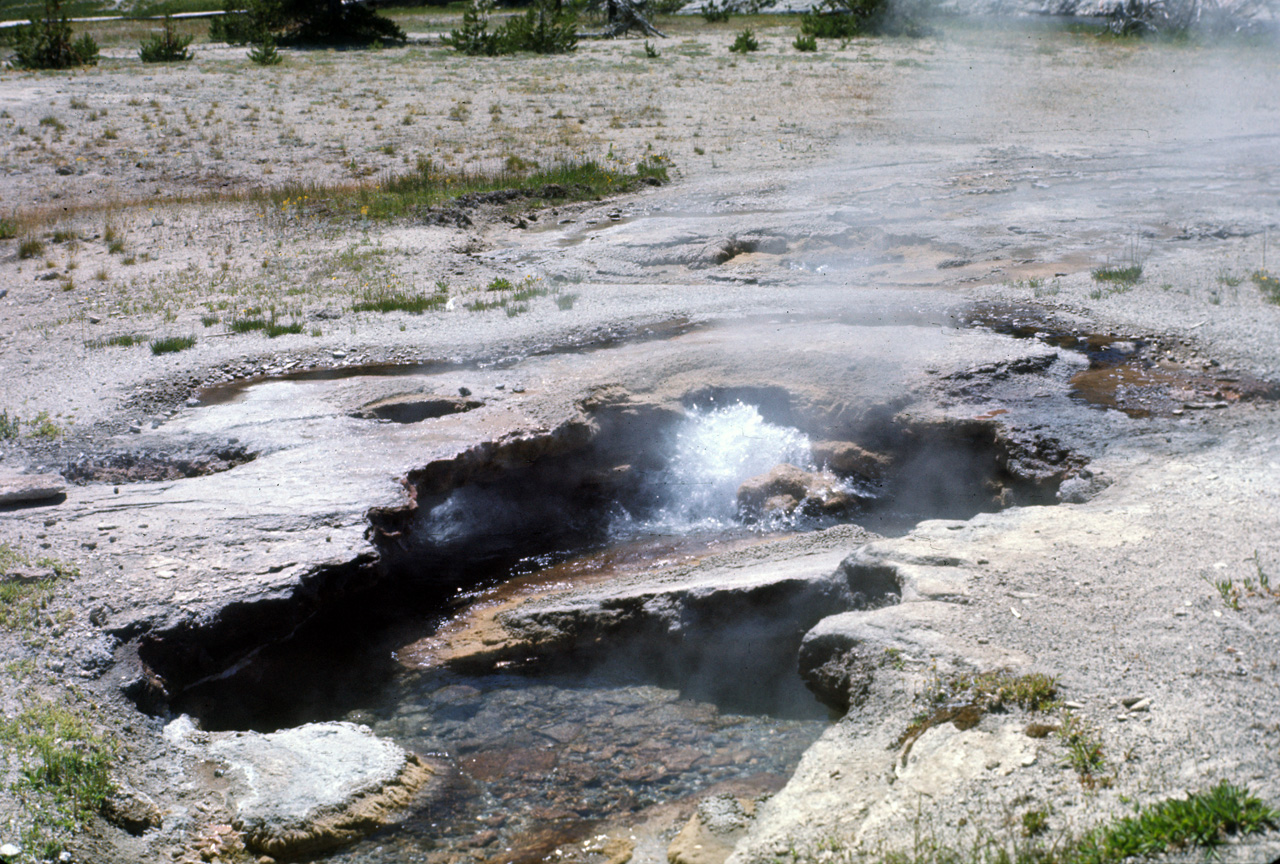 74-06-09, 031, Yellowstone Nat Park, Wyoming