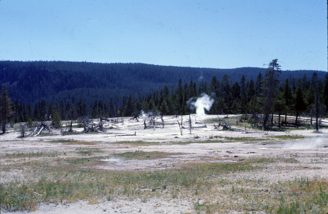 74-06-09, 037, Yellowstone Nat Park, Wyoming