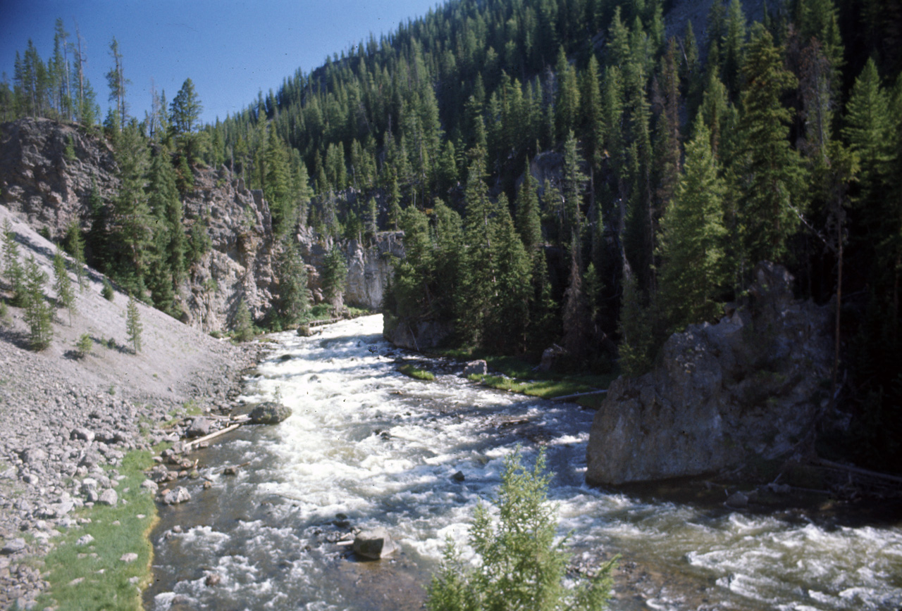 74-06-09, 053, Yellowstone Nat Park, Wyoming