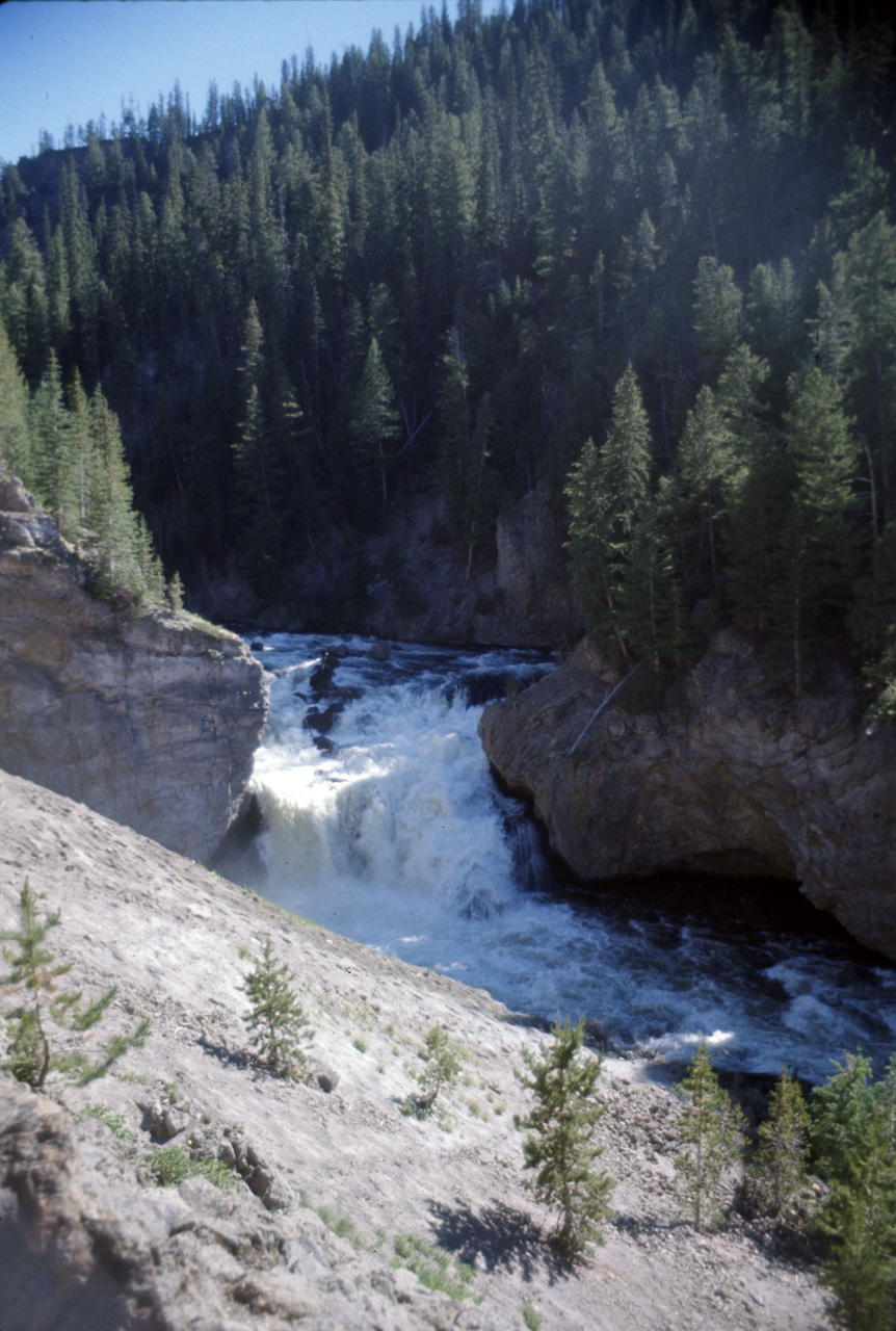 74-06-09, 054, Yellowstone Nat Park, Wyoming