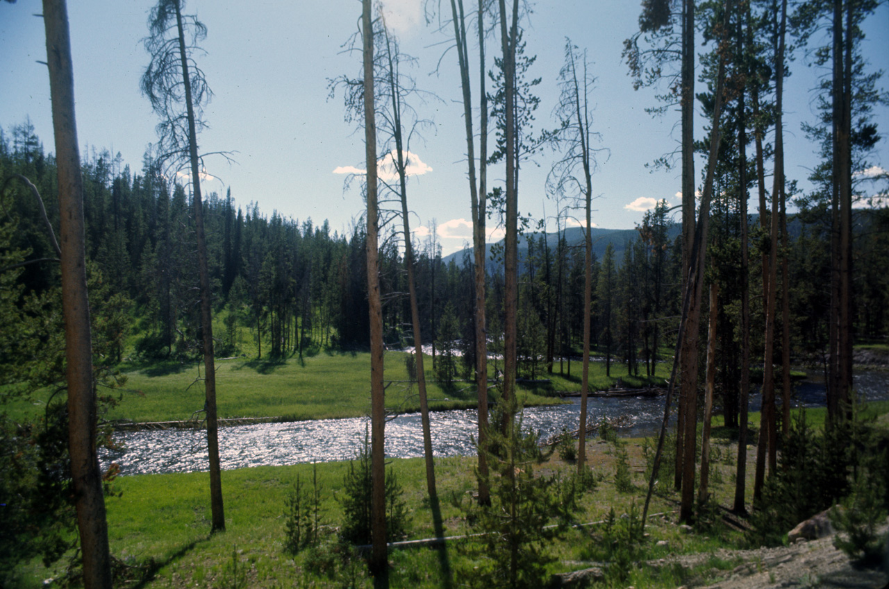 74-06-09, 056, Yellowstone Nat Park, Wyoming