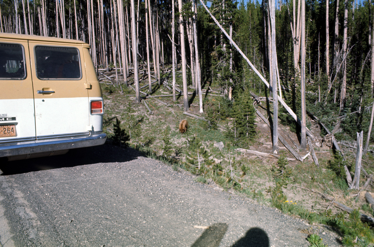 74-06-09, 061, Yellowstone Nat Park, Wyoming