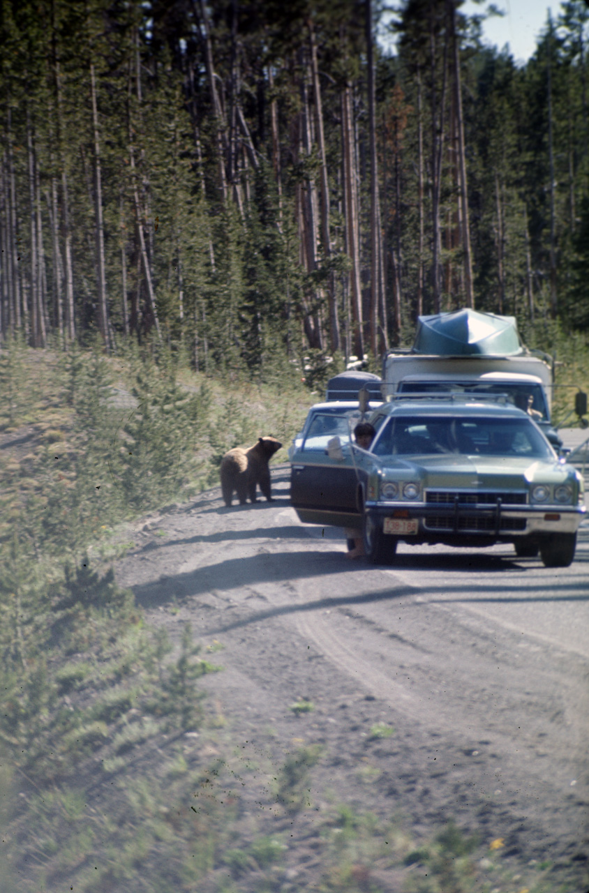 74-06-09, 064, Yellowstone Nat Park, Wyoming