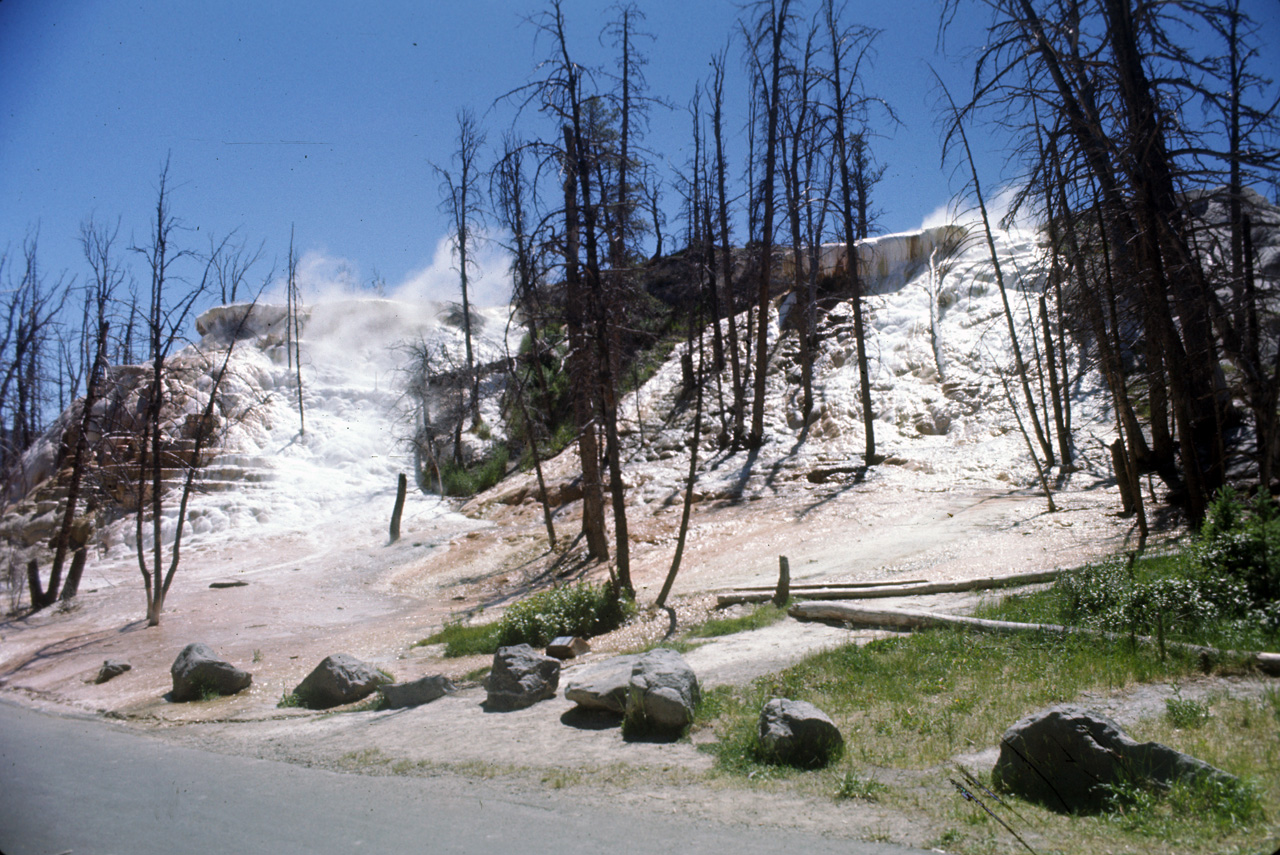 74-06-09, 070, Yellowstone Nat Park, Wyoming