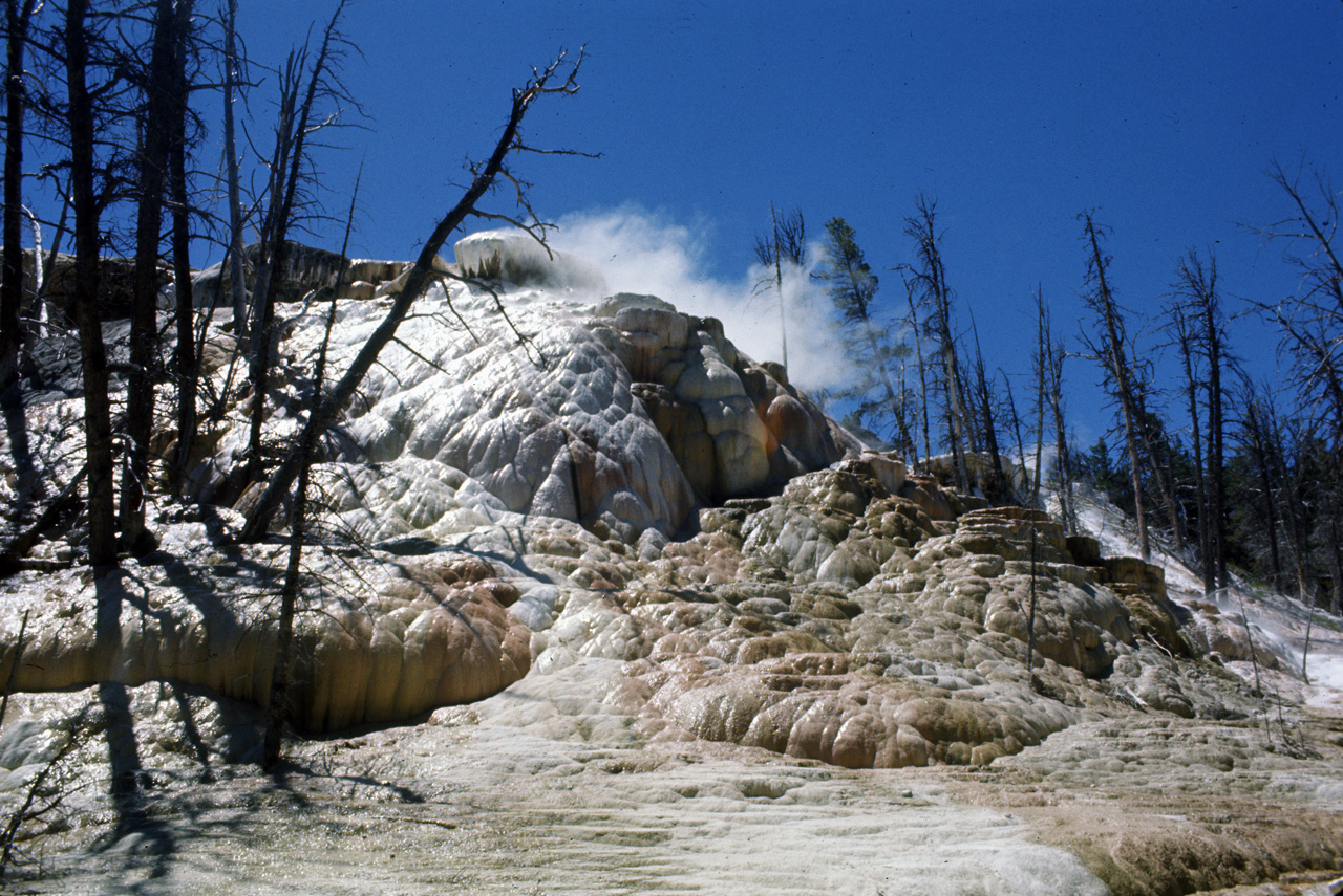 74-06-09, 072, Yellowstone Nat Park, Wyoming