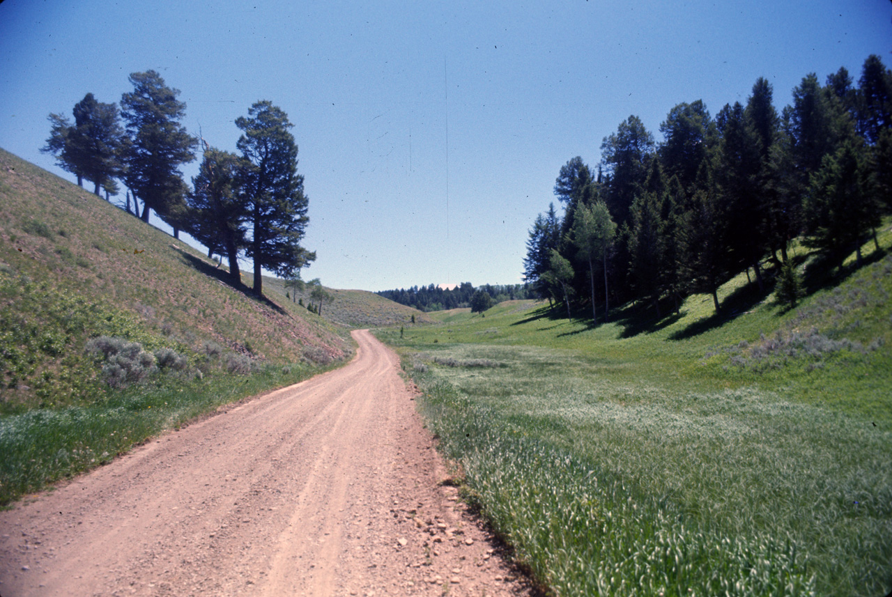 74-06-09, 075, Yellowstone Nat Park, Wyoming