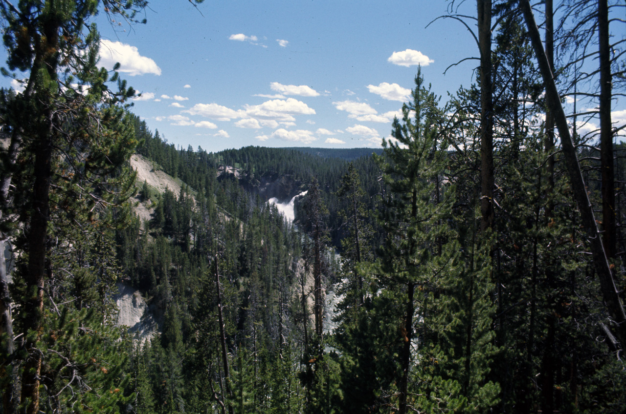 74-06-09, 092, Yellowstone Nat Park, Wyoming