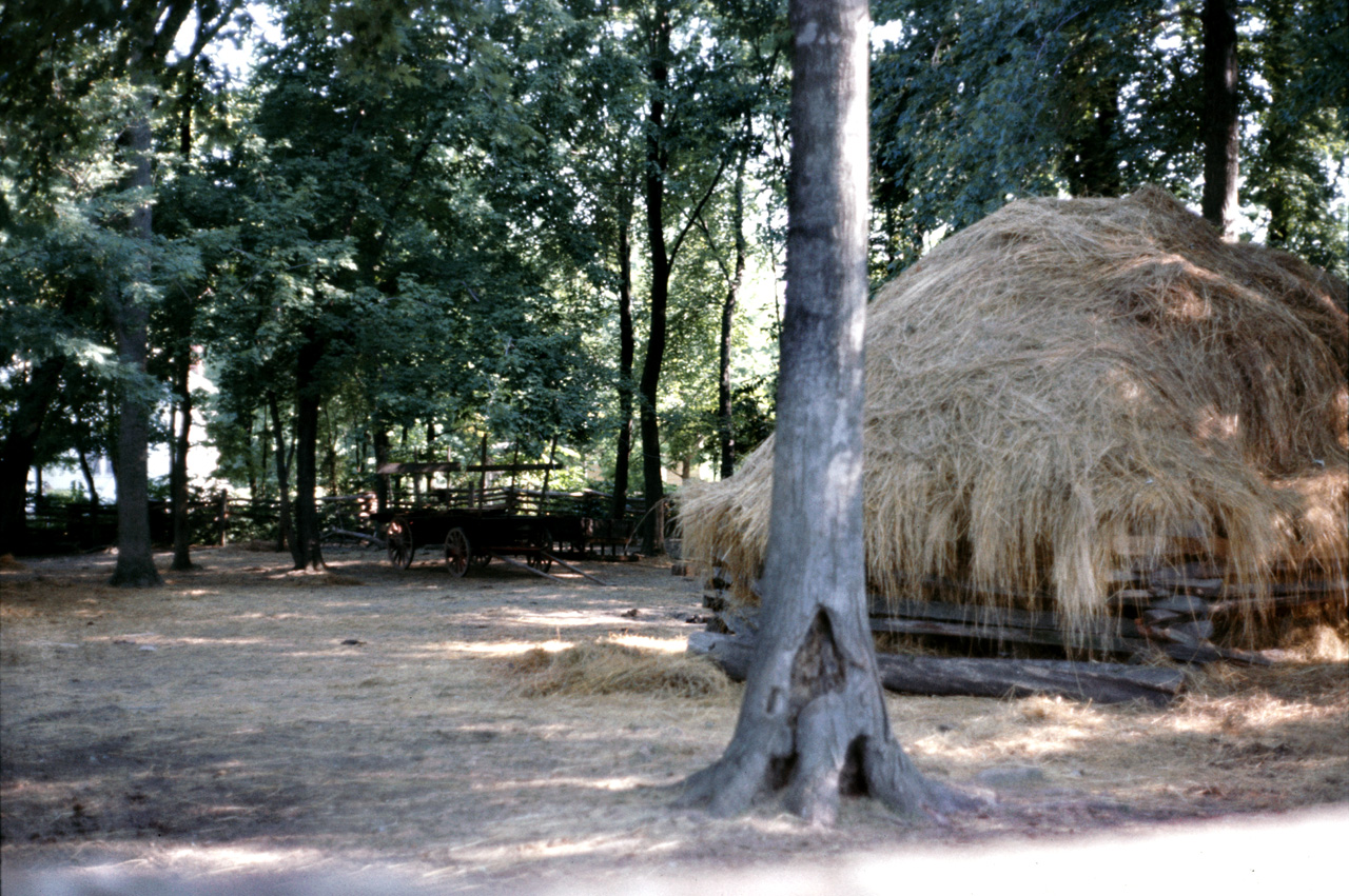 75-07-03, 014, Lincoln Bobhood Nat Memorial, Indiana