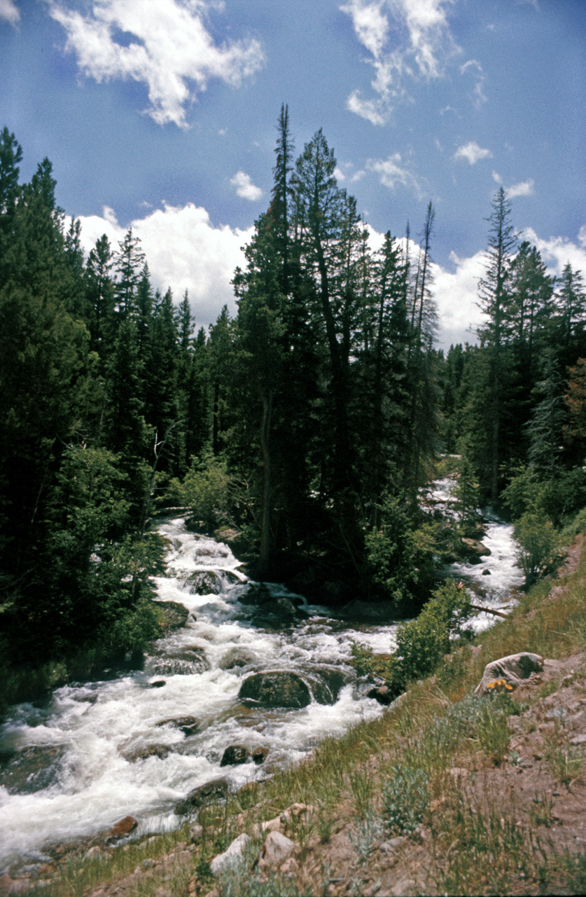 75-07-07, 019, Rocky Mountain National Park, Colorado