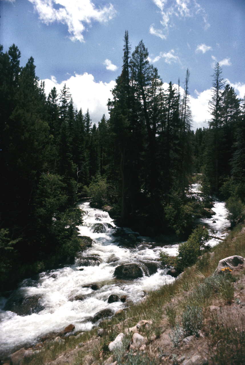 75-07-07, 021, Rocky Mountain National Park, Colorado