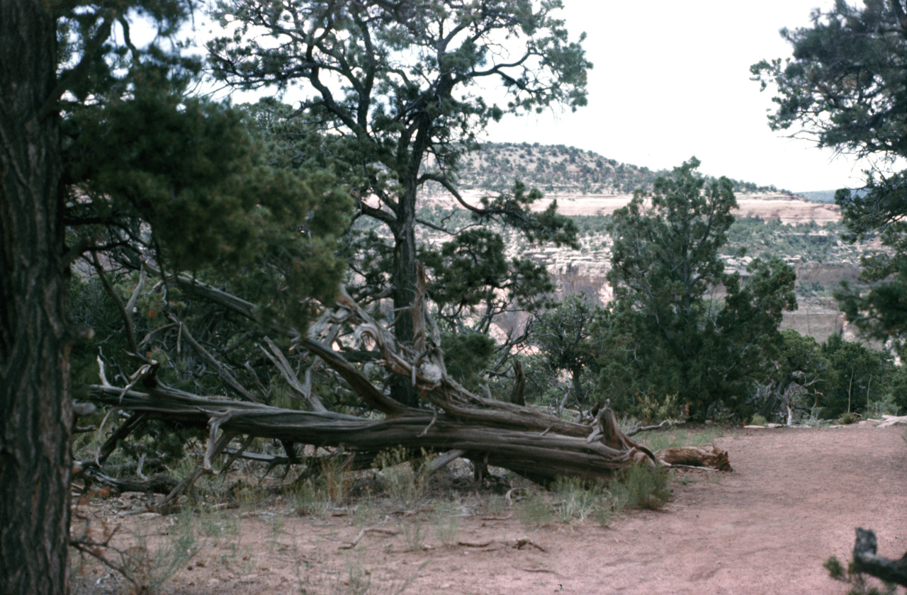 75-07-08, 007, Colorado National Monument