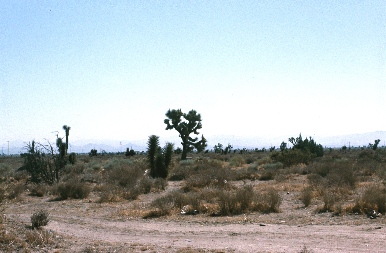 75-07-11, 001, Along Rt 395, Calif