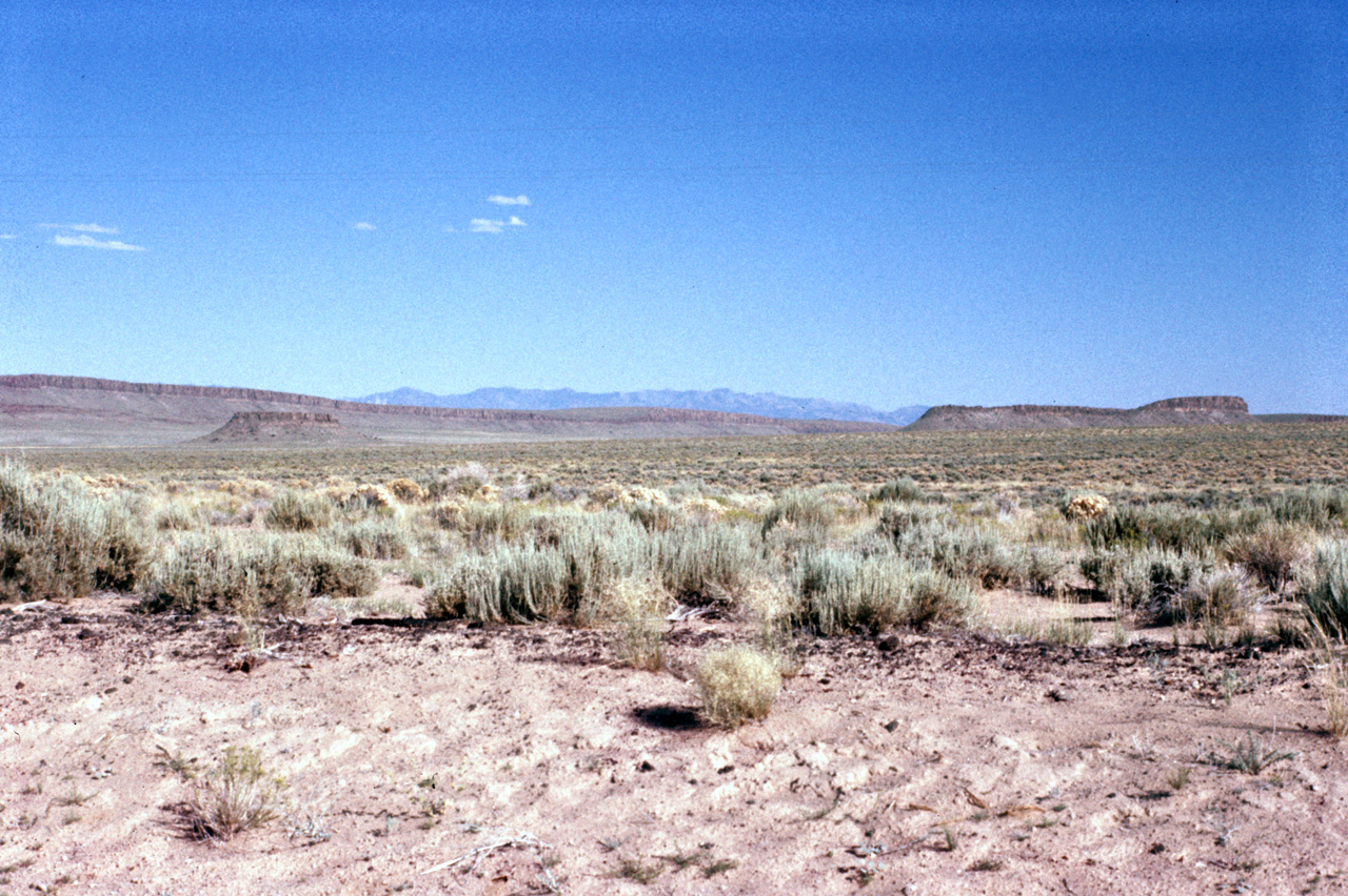 75-07-11, 021, Along Rt 6, Nevada