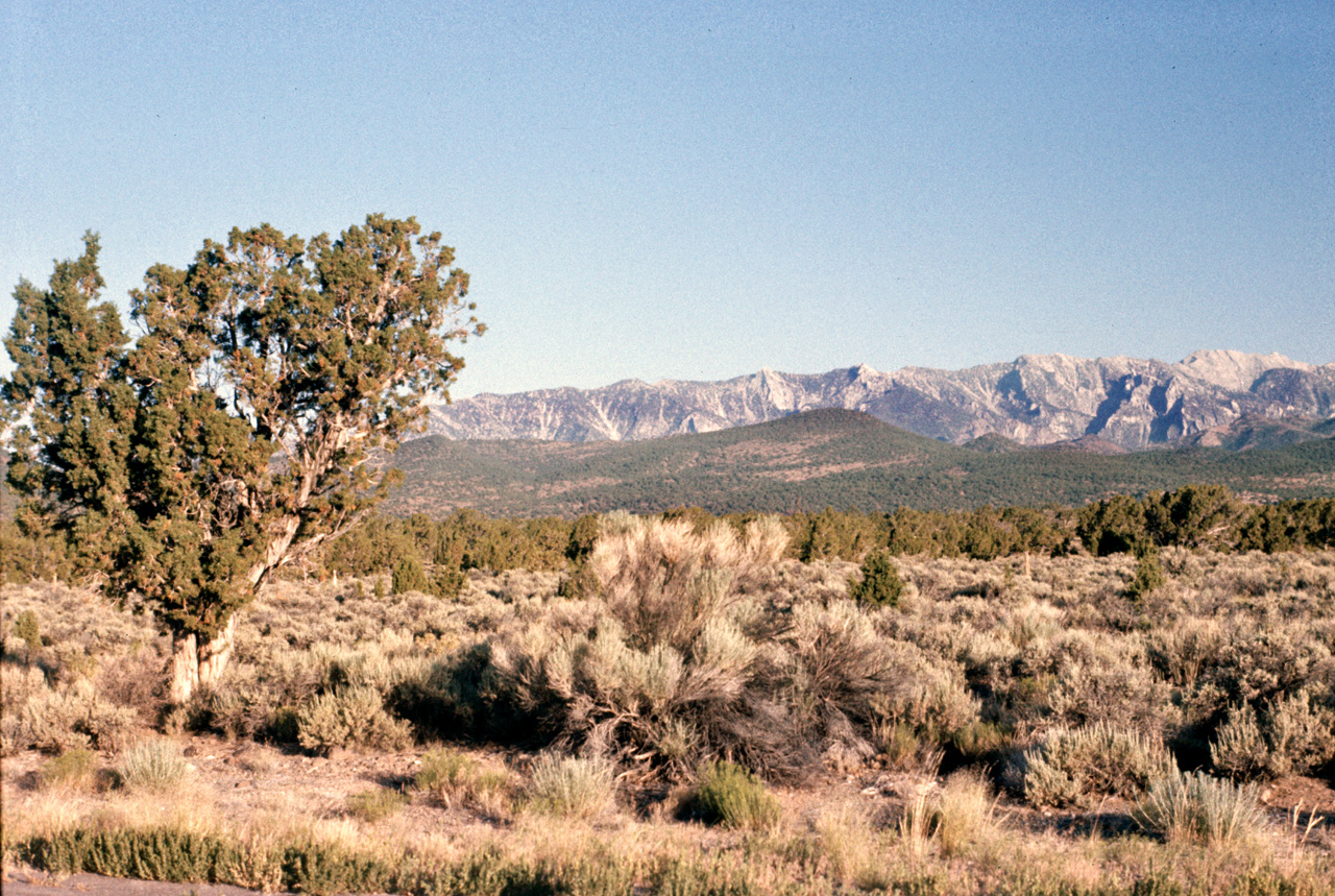 75-07-12, 005, Along Rt 6, Utah