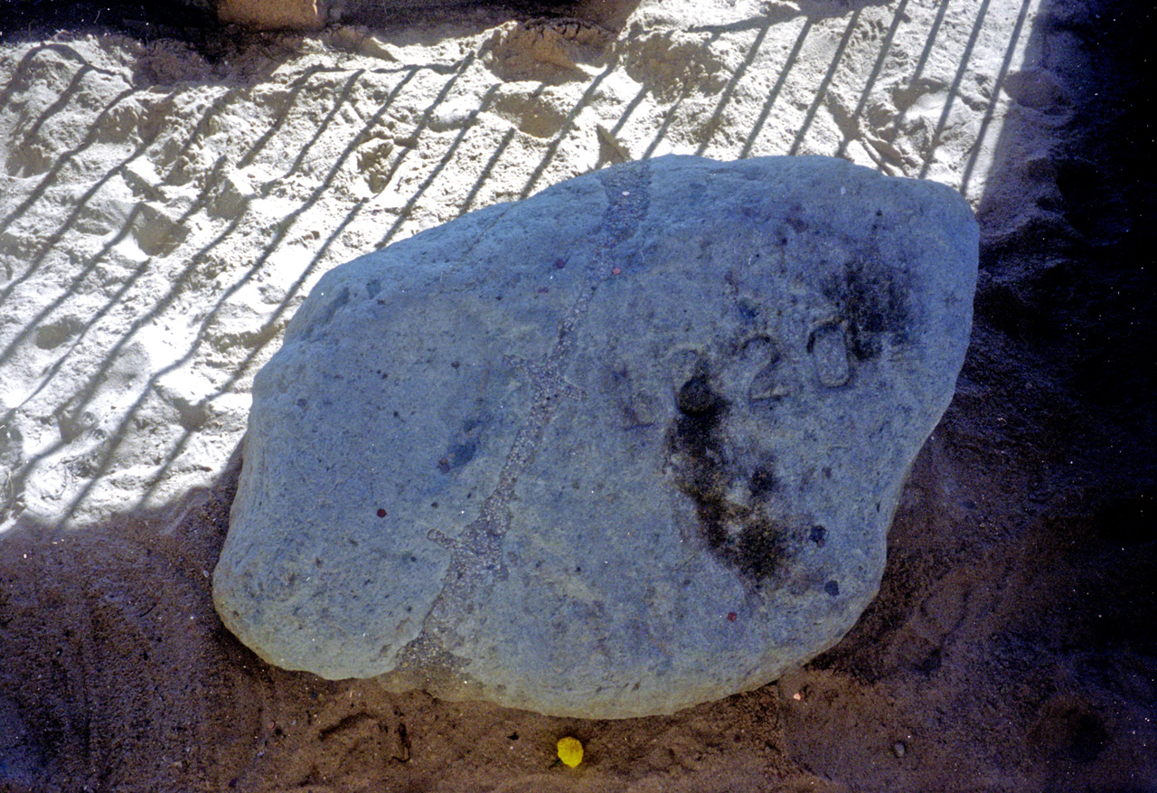 95-08-01, 16, Plymouth Rock, Ma