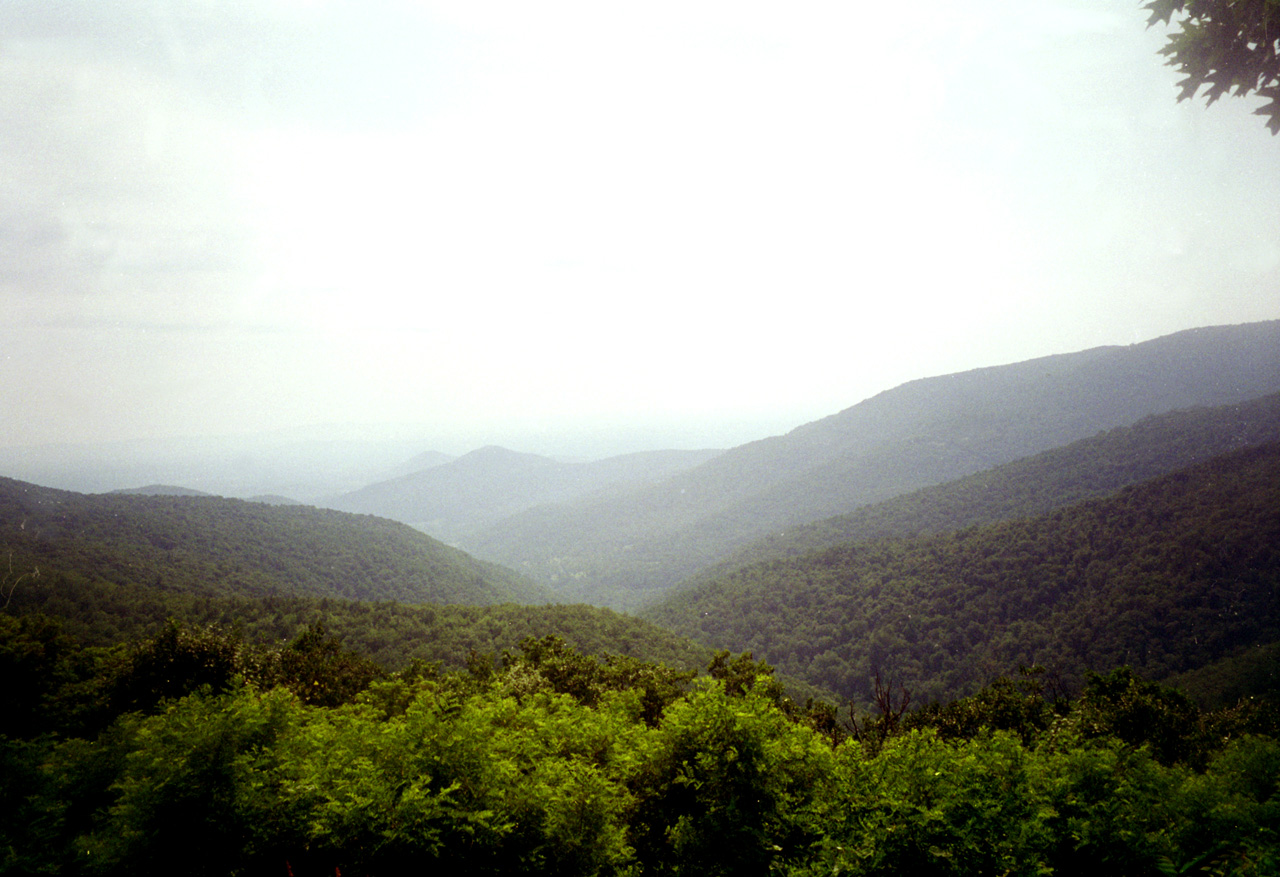 96-07-09, 06, Shenandoah Nat'l Park