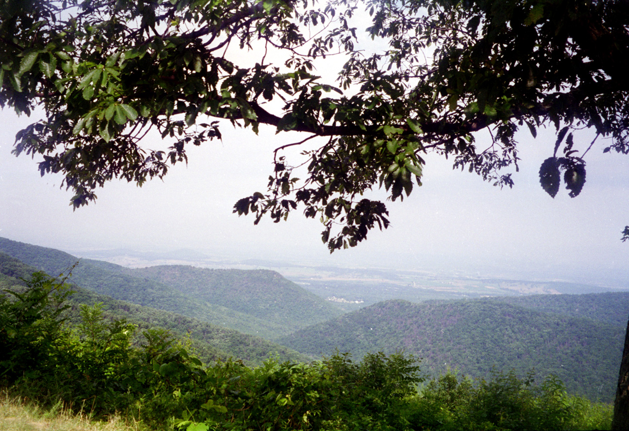 96-07-10, 12, Shenandoah Nat'l Park