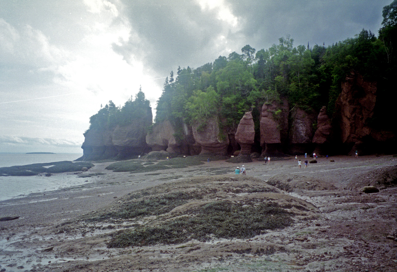 96-08-27, 20, Fundy Bay, New Brunswick, CA