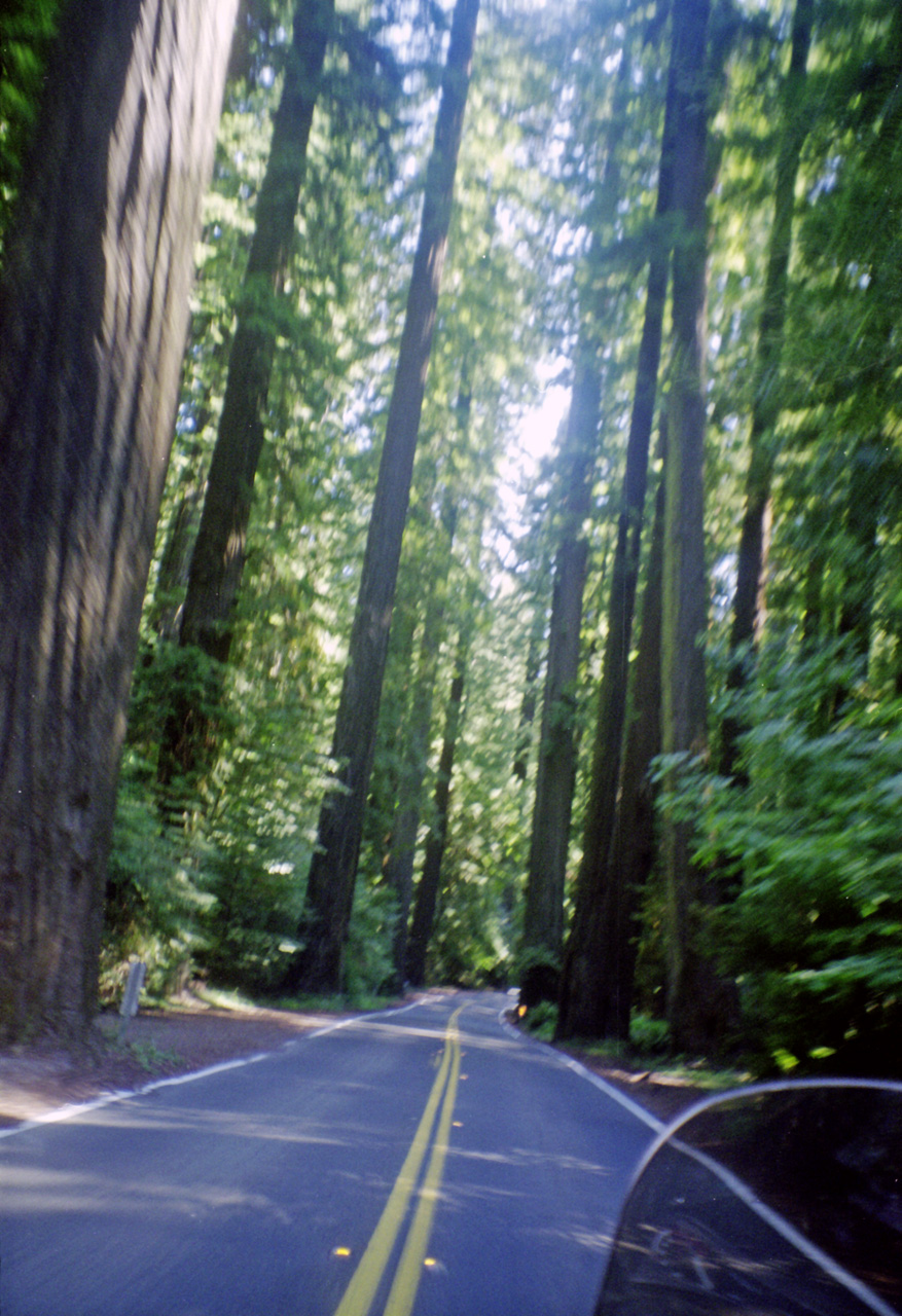 98-07-04, 06, Redwood's, Calif