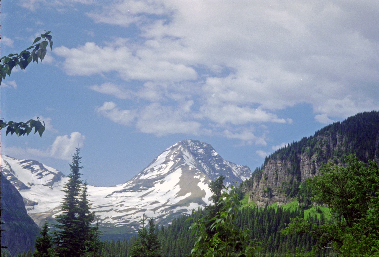 98-07-09, 25, Glacier Nat Park, Montana