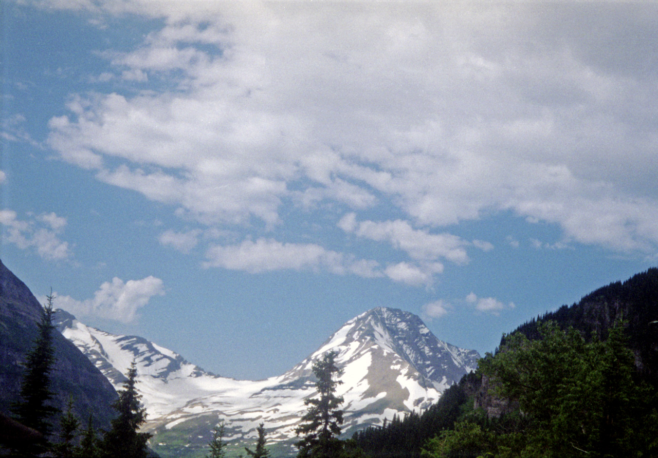 98-07-09, 31, Glacier Nat Park, Montana