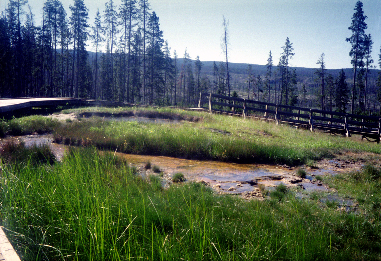 98-07-12, 12, Yellowstone Nat Park, Wyoming