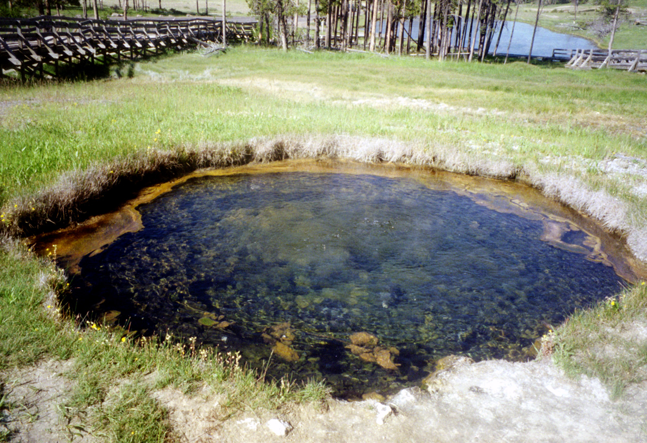 98-07-12, 13, Yellowstone Nat Park, Wyoming