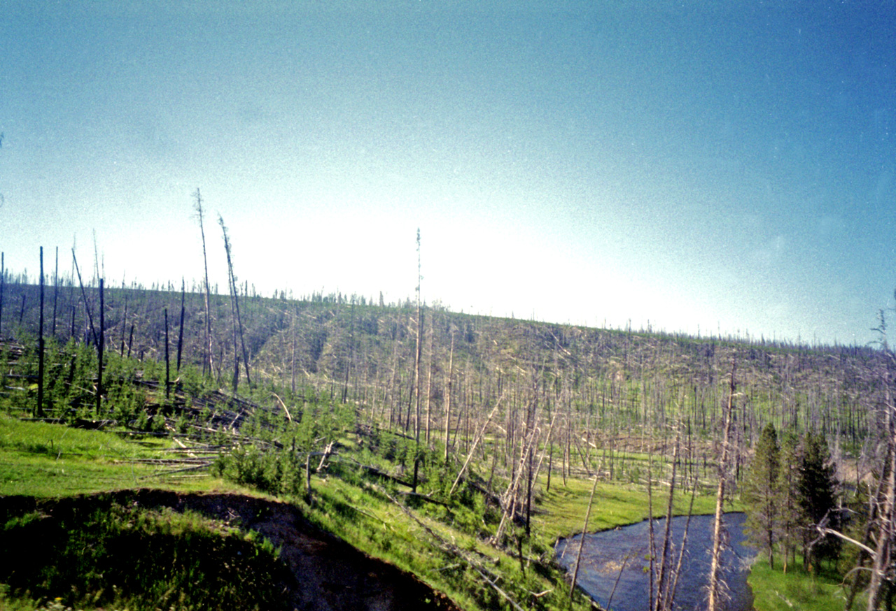 98-07-12, 14, Yellowstone Nat Park, Wyoming