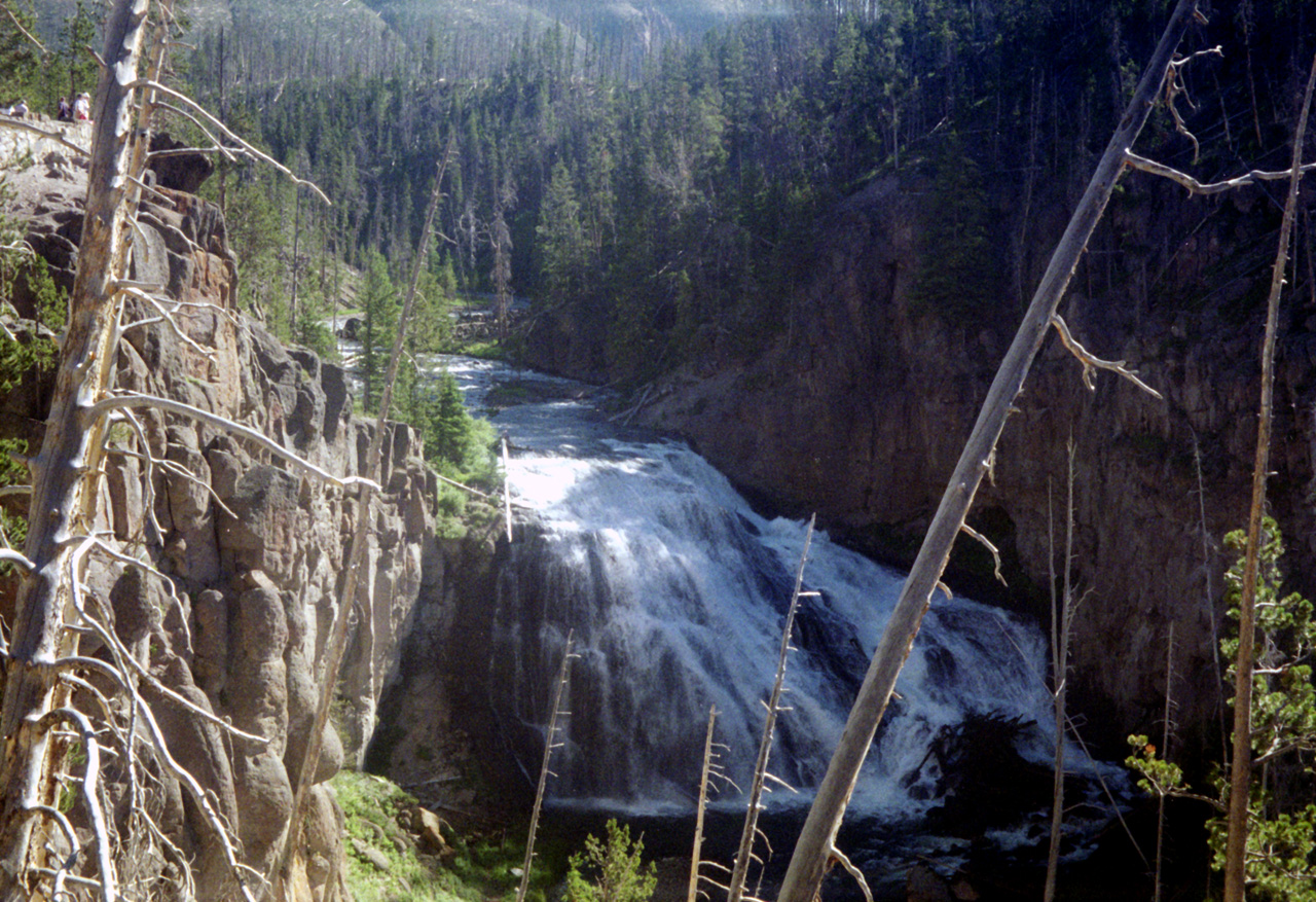 98-07-12, 15, Yellowstone Nat Park, Wyoming