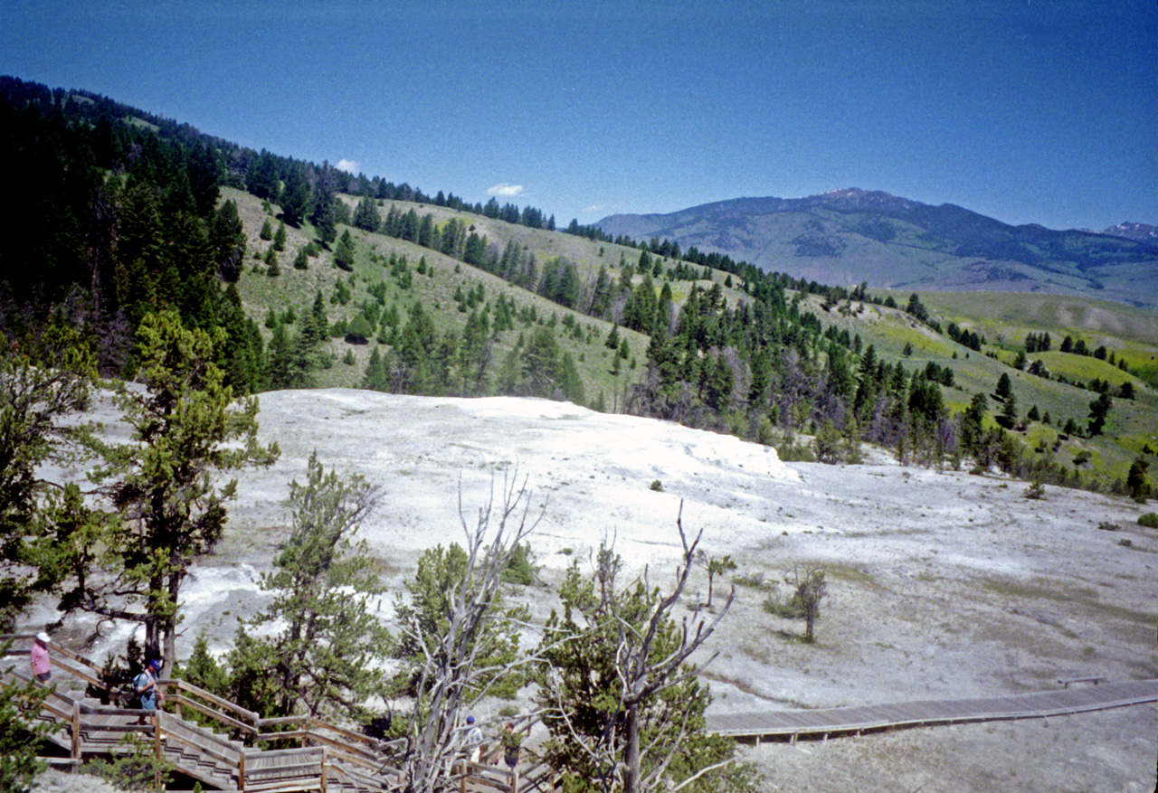 98-07-13, 13, Yellowstone Nat Park, Wyoming