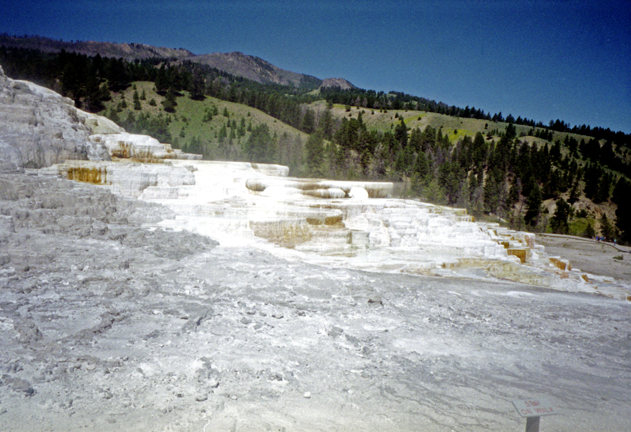 98-07-13, 15, Yellowstone Nat Park, Wyoming