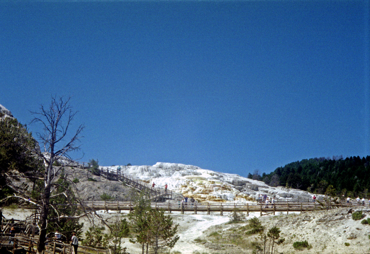 98-07-13, 17, Yellowstone Nat Park, Wyoming