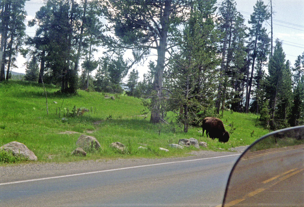 98-07-13, 23, Yellowstone Nat Park, Wyoming