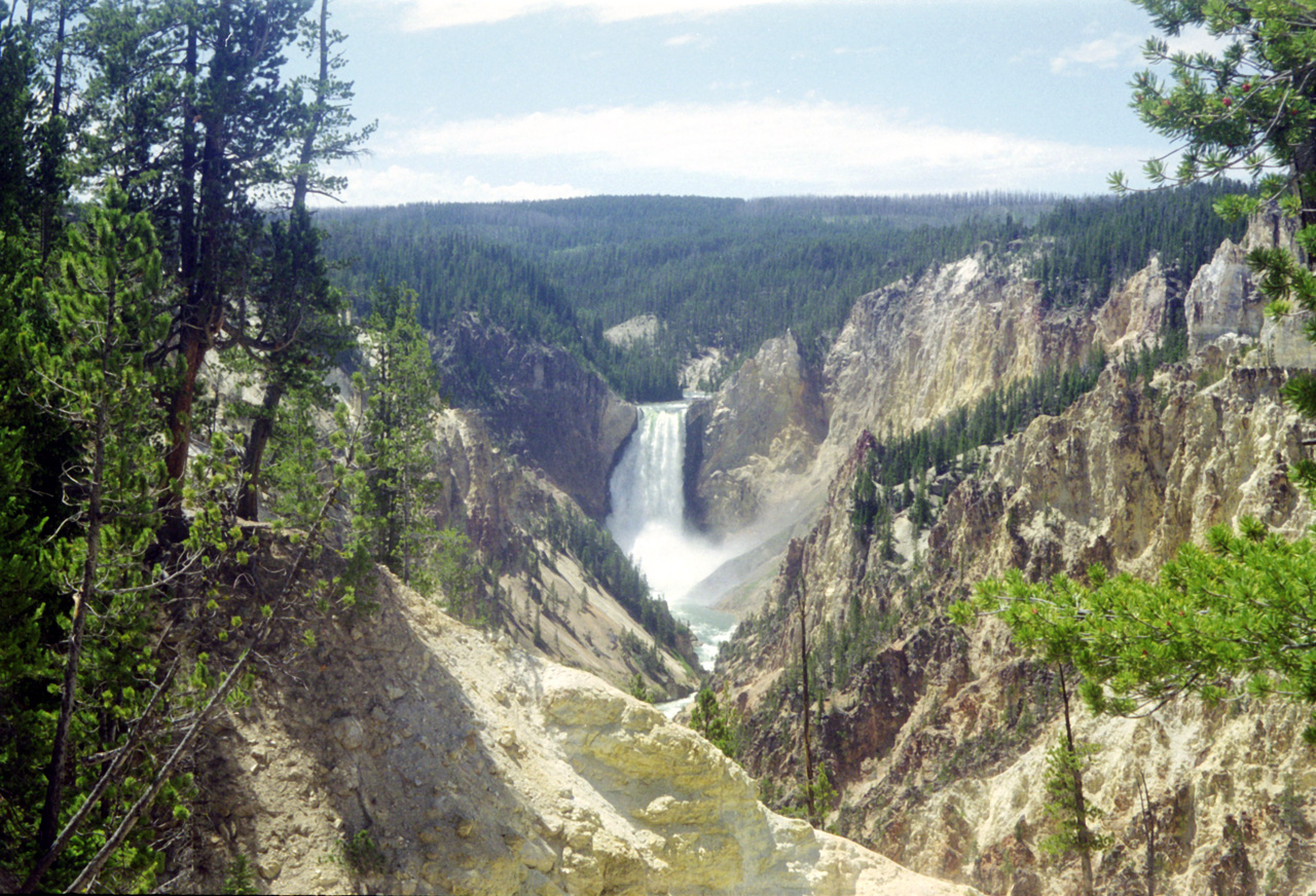 98-07-13, 33, Yellowstone Nat Park, Wyoming