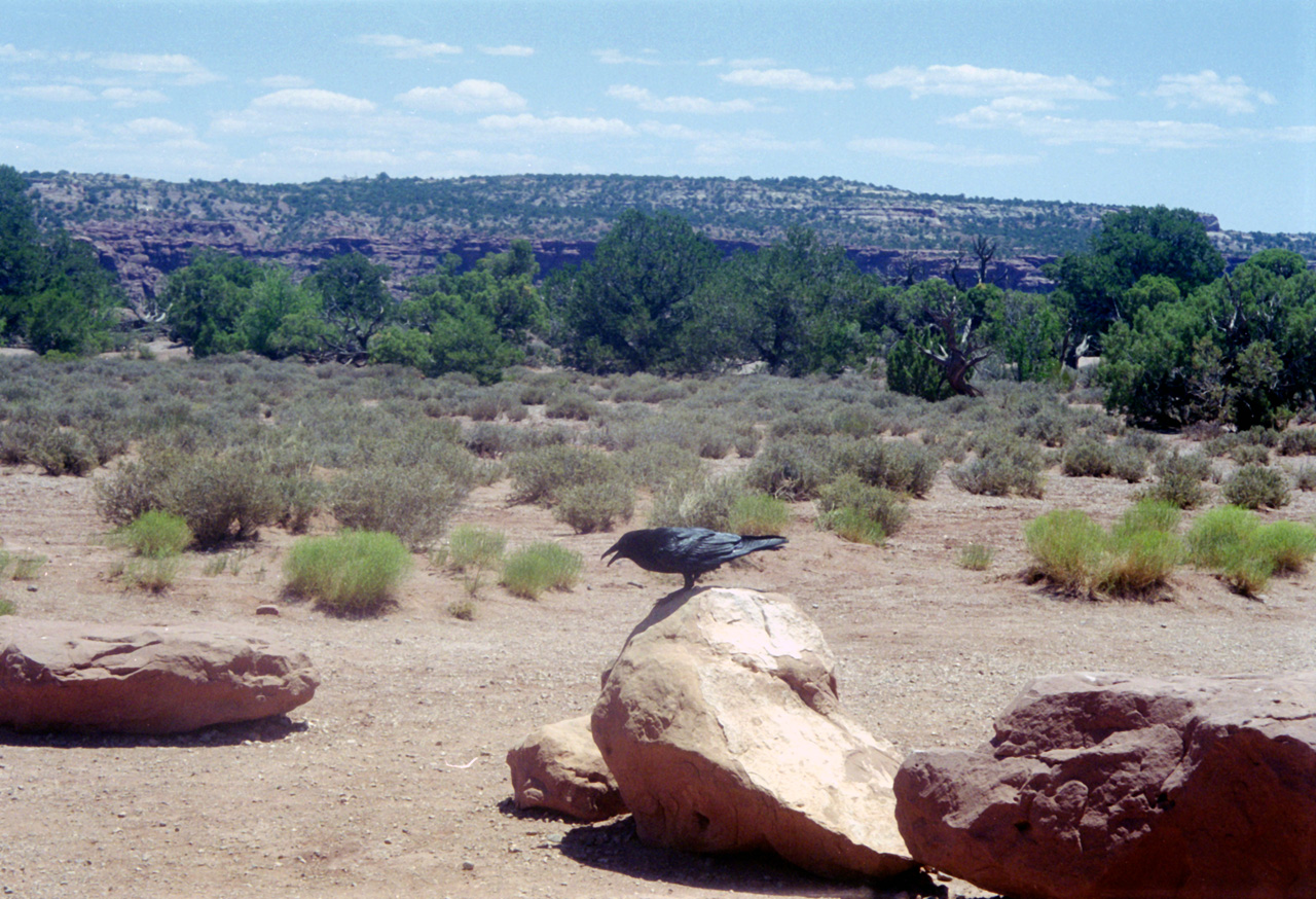 98-07-15, 45, Canyonlands Nat Park, Utah