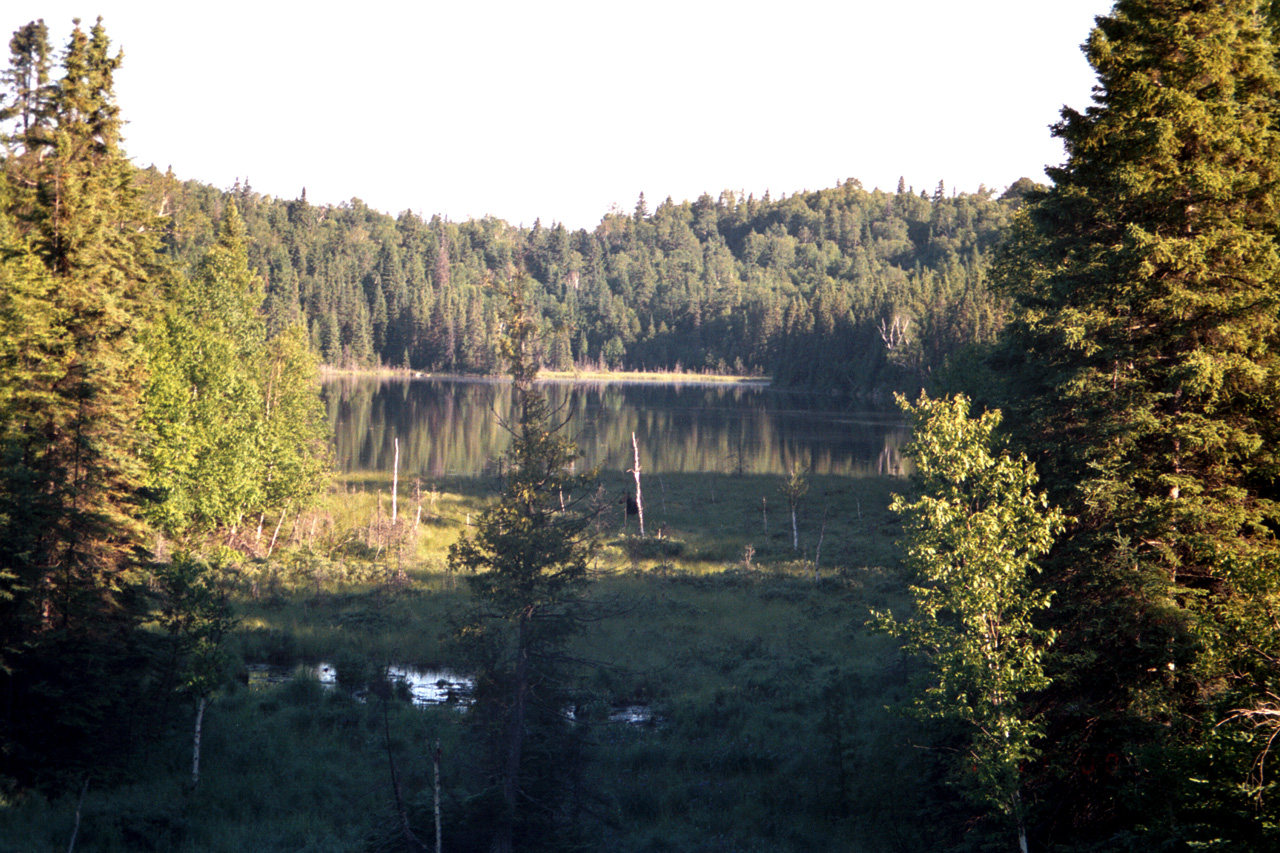 00-07-11, 29, Moose, Lake Superior, CA