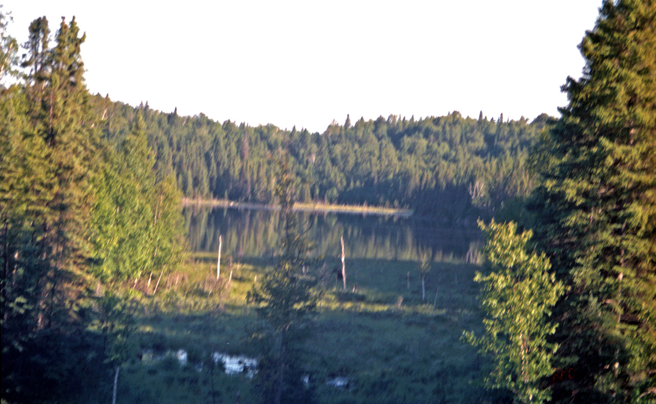 00-07-11, 30, Moose, Lake Superior, CA