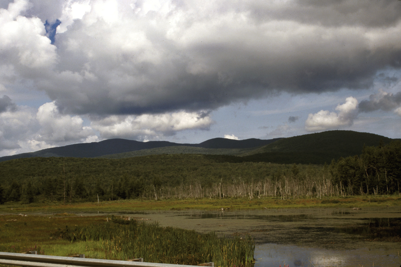 01-08-19, 022, Road side in Vermont