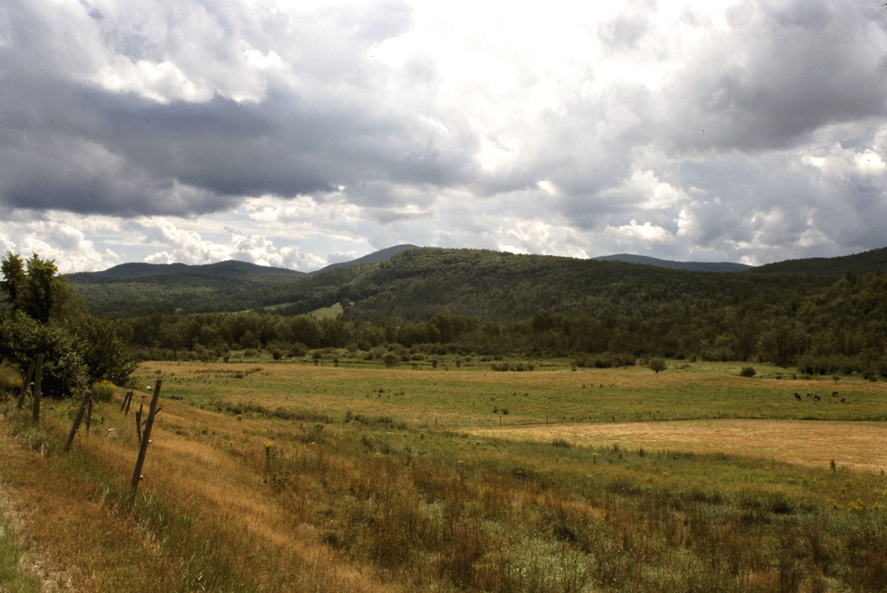 01-08-19, 023, Road side in Vermont